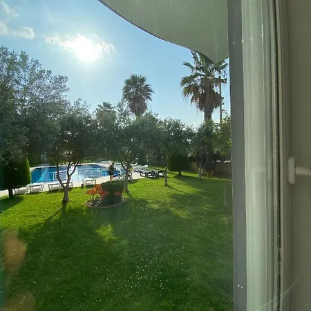 Palm 2+1